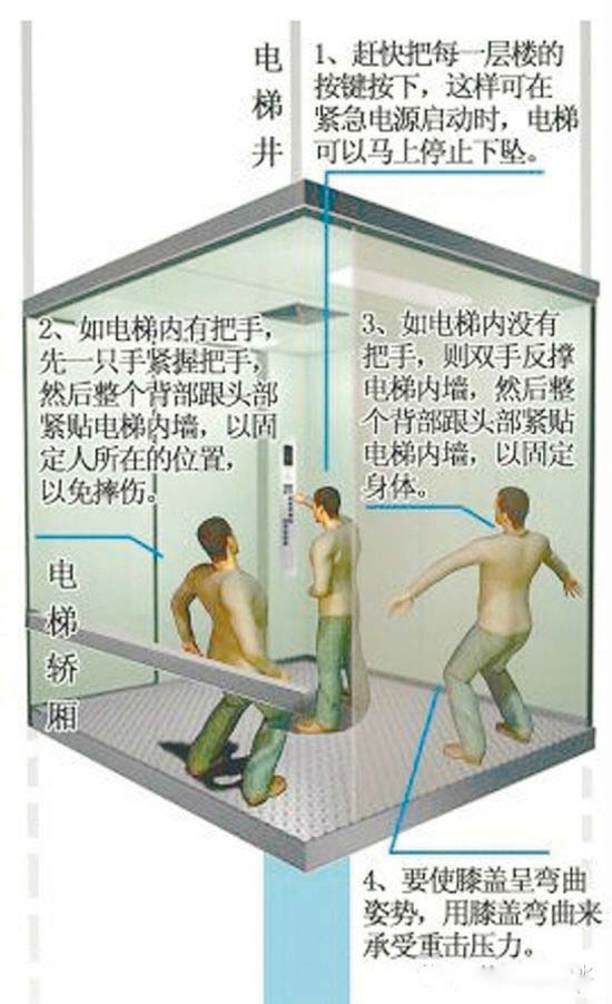 5c46722483fc9.jpg 20140414122745238.jpg